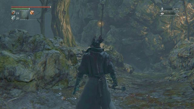 Road that leads to the cave. - How to get to the Forsaken Castle Cainhurst in Bloodborne? | FAQ - FAQ - Bloodborne Game Guide & Walkthrough