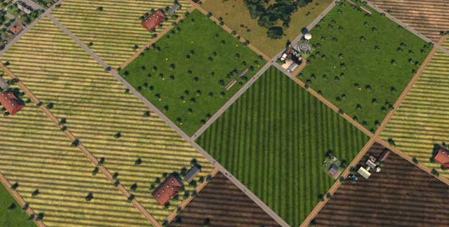 If you have large tracts of fertile land focus on food production - Citys Specialization - Development of a metropolis - Cities XXL - Game Guide and Walkthrough