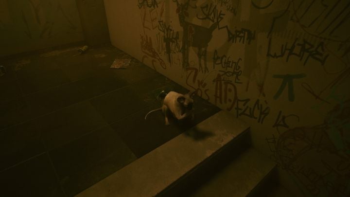 However, this does not mean that you can't have any pets in the game - Cyberpunk 2077: Can you adopt Iguana? - Cyberpunk 2077: Exploration - Cyberpunk 2077 Guide