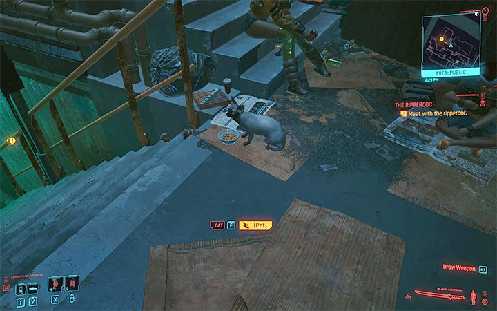 Yes, although there won't be many species - Cyberpunk 2077: FAQ - Cyberpunk 2077: Campaign - Cyberpunk 2077 Guide