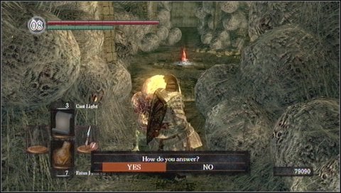 You can now use the bonfire here and talk to Quelaags Sister, leader of Chaos Servant Covenant - Blighttown - Quelaags Domain | Walkthrough - Walkthrough - Dark Souls Game Guide & Walkthrough