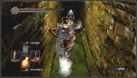 Walk on the bridge and pick up a soul at the end of the platform - Firelink Shrine - Undead Burg | Walkthrough - Walkthrough - Dark Souls Game Guide & Walkthrough