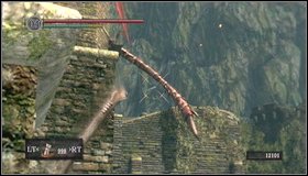 You can see dragons tail from a place where youre standing right now - Undead Burg - A bridge with Wyvern | Walkthrough - Walkthrough - Dark Souls Game Guide & Walkthrough
