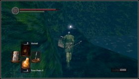 2 - Darkroot Basin - Darkroot Garden II | Walkthrough - Walkthrough - Dark Souls Game Guide & Walkthrough