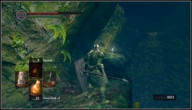During climbing you can collect a soul - Darkroot Basin - Darkroot Garden II | Walkthrough - Walkthrough - Dark Souls Game Guide & Walkthrough