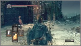 2 - Bonus - Painted World of Ariamis - p. 1 | Walkthrough - Walkthrough - Dark Souls Game Guide & Walkthrough