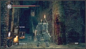 6 - Bonus - Painted World of Ariamis - p. 2 | Walkthrough - Walkthrough - Dark Souls Game Guide & Walkthrough