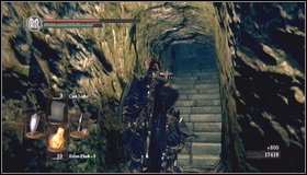 1 - Bonus - Painted World of Ariamis - p. 3 | Walkthrough - Walkthrough - Dark Souls Game Guide & Walkthrough