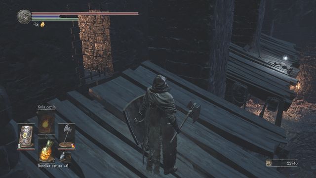 Go up the stairs, slay the shapeshifter, use the ladder and jump over to the other side - you will collect the last remaining items. - Profaned Capital - Return to the Irithyll Dungeon - Walkthrough - Dark Souls III Game Guide & Walkthrough