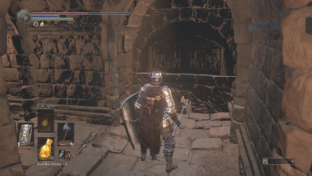 Then, while leaving the stairs leading up behind, go to the right from the main chamber - Smouldering Lake - Walkthrough - Dark Souls III Game Guide & Walkthrough