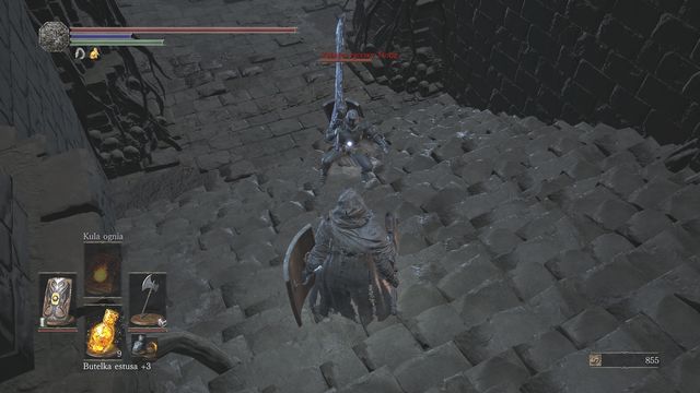 By attacking from above you can perform slightly longer attacks and dodges. - Smouldering Lake - Walkthrough - Dark Souls III Game Guide & Walkthrough