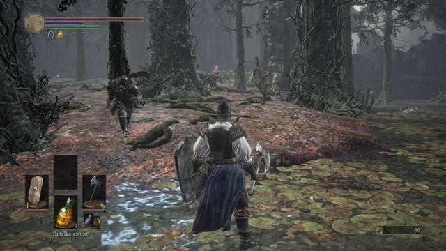 They need to split up. - Road of Sacrifices - Swamp - Walkthrough - Dark Souls III Game Guide & Walkthrough