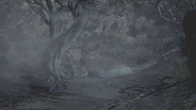 Dark Souls III, like the previous installments in the franchise, is a difficult and demanding game, where most of your encounters with enemies will require you to use a dedicated strategy, exploiting any enemy weakness you can find - 2. Tips for beginners - Dark Souls III in 10 Easy Steps - Dark Souls III Game Guide & Walkthrough