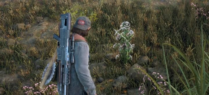 Go Southeast to find Sarah - Days Gone: Im Never Giving Up - walkthrough - Main storyline - Days Gone Guide