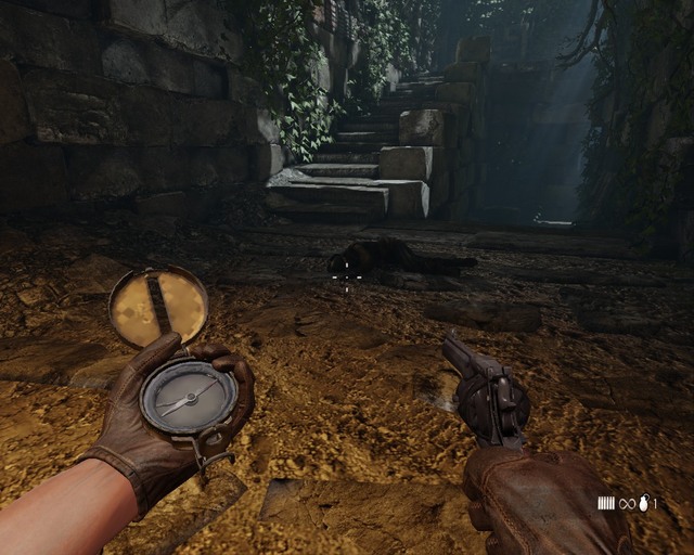 Go downstairs here. - Mayan Tombs | Treasures - Treasures - Deadfall Adventures Game Guide & Walkthrough