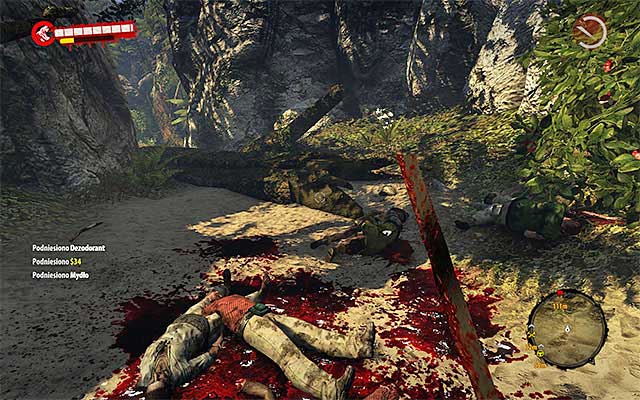 You have to return to Pearl Sands, which is a beach where youve landed in the first chapter - Heavenly Gift | Side missions - Jungle - Side missions - Jungle - Dead Island Riptide Game Guide