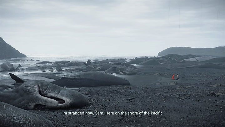 Beaches are a unique location in the game - this is where the souls of the dead go - What is the plot in Death Stranding about? - World - Death Stranding Guide