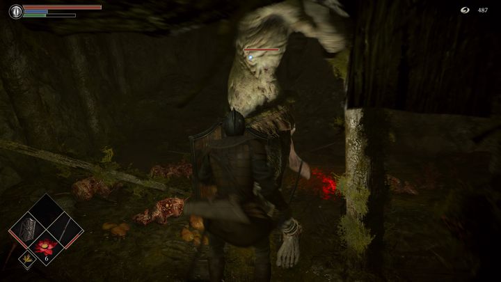 Moving on, watch out for a more dangerous enemy - Demons Souls Remake: Depraved Chasm (5-1) - walkthrough - Valley of Defilement (Region 5) - Demons Souls Remake Guide