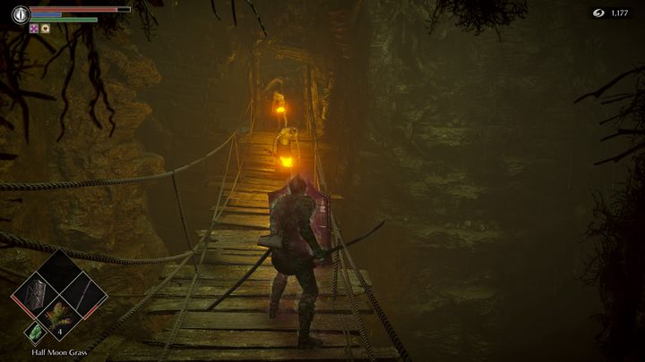 On the bridge, there will be more enemies, two smaller and one larger - Demons Souls Remake: Depraved Chasm (5-1) - walkthrough - Valley of Defilement (Region 5) - Demons Souls Remake Guide