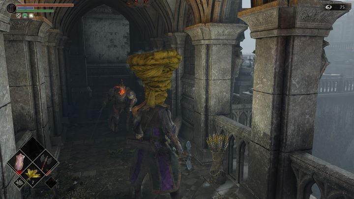 After passing through the fog, go ahead, but watch out for the knight - Demons Souls Remake: Inner Ward (1-3) - walkthrough - Boletarian Palace (Region 1) - Demons Souls Remake Guide