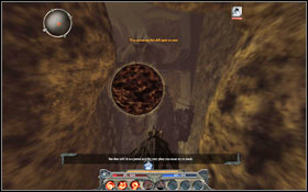 As you enter the Hall, your character will transform into a dragon and you won't be able to turn back into a human - Orobas Fjords - Main quests - Orobas Fjords - Divinity II: Ego Draconis - Game Guide and Walkthrough