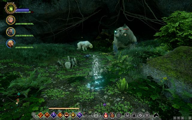 The dangerous bears - Dragon Age Inquisition: Watch Out for the Bear - Side Quests - Emerald Graves - Dragon Age: Inquisition Game Guide & Walkthrough