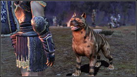 MABARI HOUND (animal, dog) - Dragon Age Origins: List of companions - World Atlas - Followers - Dragon Age: Origins Game Guide