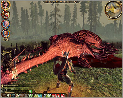 If you decide to kill the witch dont forget that at least two members of your team should use bows, crossbows or spells to attack the dragon from the distance - Dragon Age Origins: Flemeths grimoire - Followers quests - Dragon Age: Origins Game Guide