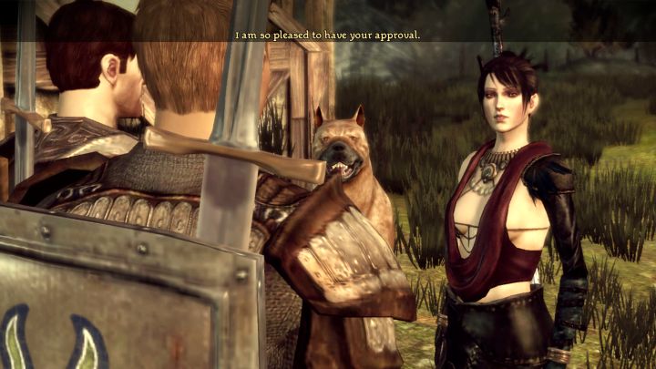 4 - Dragon Age Origins: Tips and Tricks - Basics - Dragon Age: Origins Game Guide