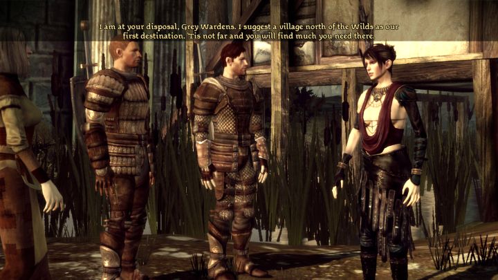 2 - Dragon Age Origins: Can you hide the helmet? - FAQ - Dragon Age: Origins Game Guide