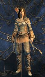 Strider - Classes - Character and its development - Dragons Dogma - Game Guide and Walkthrough