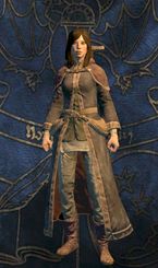 Mage - Classes - Character and its development - Dragons Dogma - Game Guide and Walkthrough