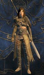 Warrior - Classes - Character and its development - Dragons Dogma - Game Guide and Walkthrough