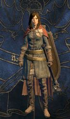 Mystic Knight - Classes - Character and its development - Dragons Dogma - Game Guide and Walkthrough