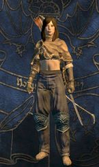 Assassin - Classes - Character and its development - Dragons Dogma - Game Guide and Walkthrough