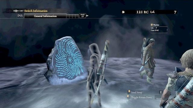 The other dimension, where you can recruit pawns, also using the network - Preliminary information - Pawns - Dragons Dogma - Game Guide and Walkthrough