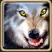 Wolf pack - Rangers | Character Classes - Character Classes - Drakensang Online Game Guide
