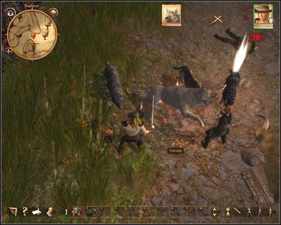 Kill all the wolves and the bloody wolf - Nadoret - for Rogues - p. 2 | Main quests - Main quests - Drakensang: The River of Time Game Guide