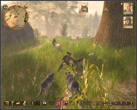 Now you can have only short conversation with a guard, seeing a millers daughter running towards you - Nadoret - for Warriors | Main quests - Main quests - Drakensang: The River of Time Game Guide