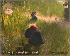 1 - Nadoret - for Nature experts | Main quests - Main quests - Drakensang: The River of Time Game Guide