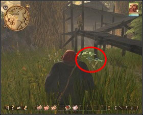 2 - Nadoret - for Nature experts | Main quests - Main quests - Drakensang: The River of Time Game Guide