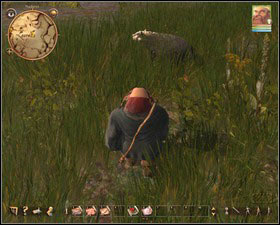 Oneberries can be found under a footbridge leading to the elfs hut - Nadoret - for Nature experts | Main quests - Main quests - Drakensang: The River of Time Game Guide