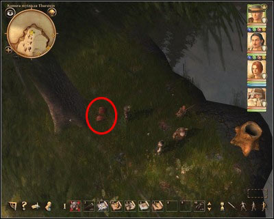 A treasure is hidden under the tree. - Customs Stronghold | Side quests - Side quests - Drakensang: The River of Time Game Guide