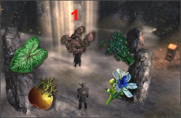 1 - the largest stone, the northernmost. - Customs Stronghold 3 (after the quest 15. Find a way to cure Ardo) | Side quests - Side quests - Drakensang: The River of Time Game Guide