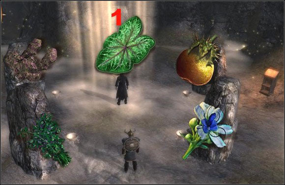 1 - the largest stone, the northernmost. - Customs Stronghold 3 (after the quest 15. Find a way to cure Ardo) | Side quests - Side quests - Drakensang: The River of Time Game Guide