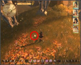 In order to do so, you have to sneak to her (turn on the Stealth Mode) in such way, that your character always faces the circle - Elven Forest | Side quests - Side quests - Drakensang: The River of Time Game Guide