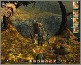 After drinking the cure, the swamprancid (M12, 8) turns into the ogre, which attacks you immediately - Elven Forest | Side quests - Side quests - Drakensang: The River of Time Game Guide