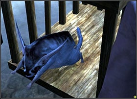 Zoell come back to the market and notice that one of the path is safeguarded - Dreamfall: Chapter 4 - Winter - Dreamfall: Game Guide - Dreamfall: The Longest Journey Game Guide