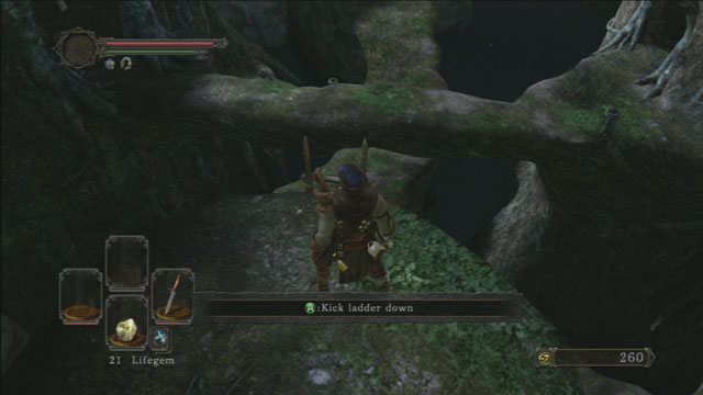Kick the ladder - 2. The first day in Dark Souls 2 - Dark Souls II - Game Guide and Walkthrough