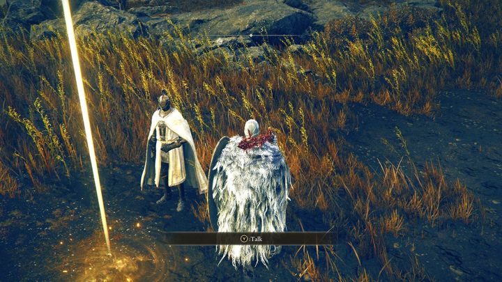 However, the player is not deprived of any choice in the context of the narrative - Shadow of the Erdtree: How many endings does Shadow of the Erdtree have? - Shadow of the Erdtree: FAQ - Elden Ring Guide